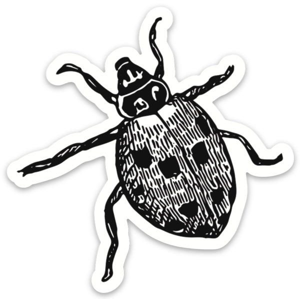 Ladybug B+W Sticker