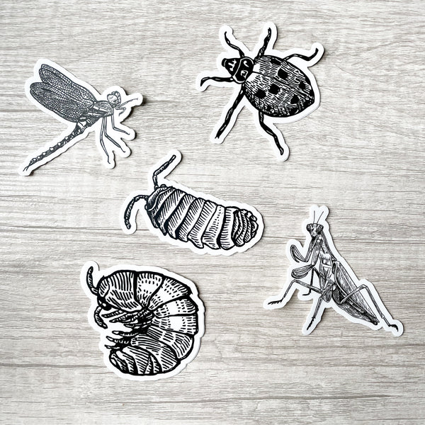 PNW Bug Sticker Pack
