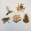 PNW Pollinator Sticker Pack
