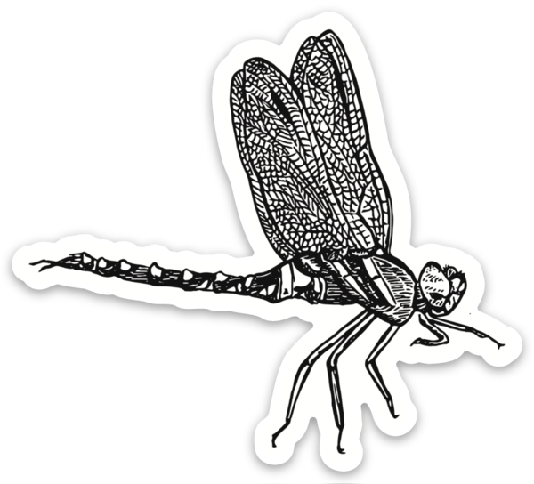 Dragonfly B+W Sticker
