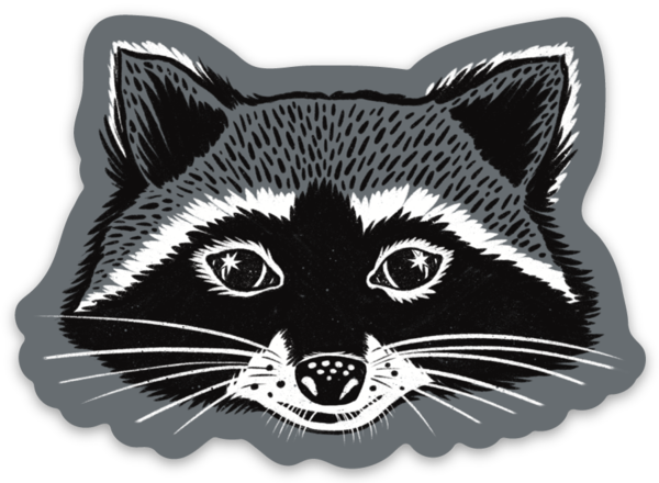 Starry Raccoon Sticker