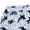 Women's Orca Whale High-waisted Shorts