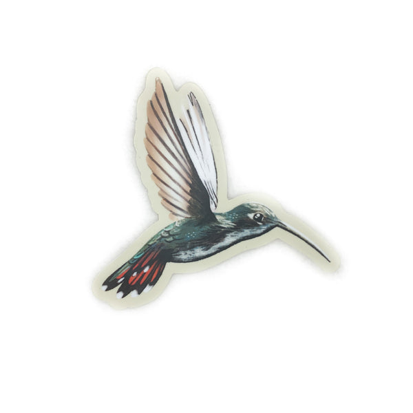 5” Hummingbird Sticker