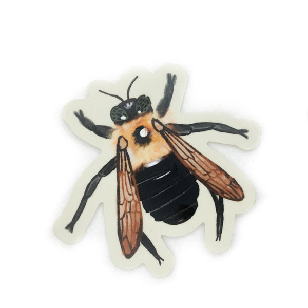 Carpenter Bee Sticker
