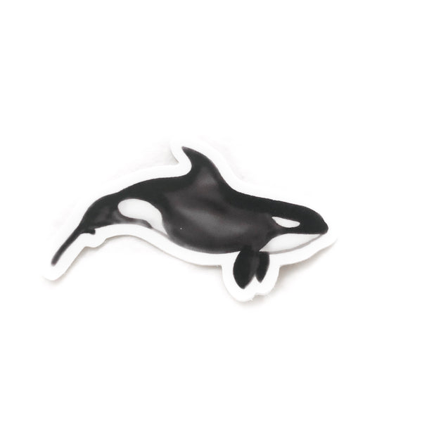 Orca Whale Right 02 Sticker