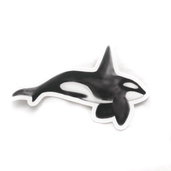 Orca Whale Right 01 Sticker